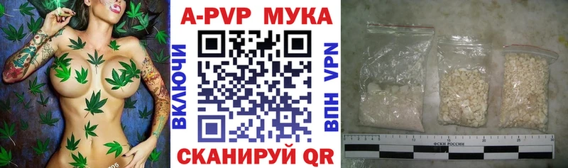 A PVP СК КРИС Обнинск