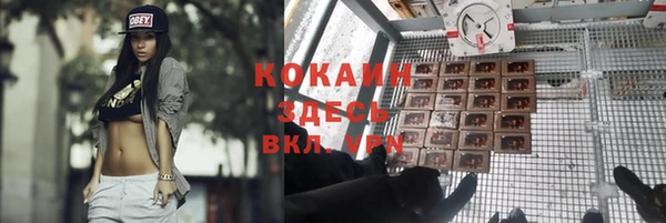 ПСИЛОЦИБИНОВЫЕ ГРИБЫ Вяземский