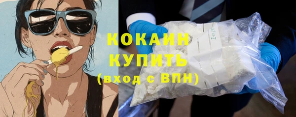 стафф Вязьма