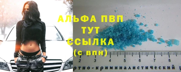 стафф Вязьма