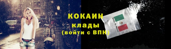 стафф Вязьма