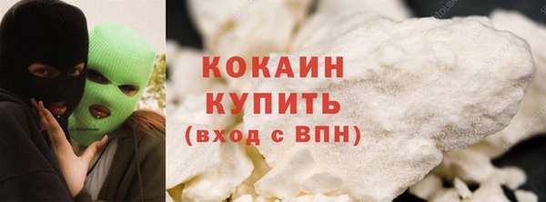 ПСИЛОЦИБИНОВЫЕ ГРИБЫ Вяземский
