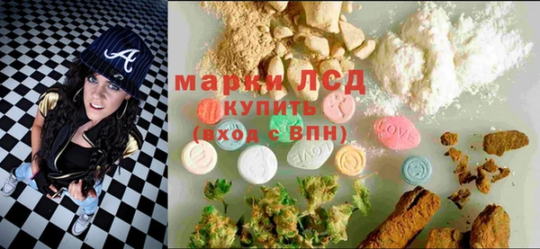 ПСИЛОЦИБИНОВЫЕ ГРИБЫ Вяземский