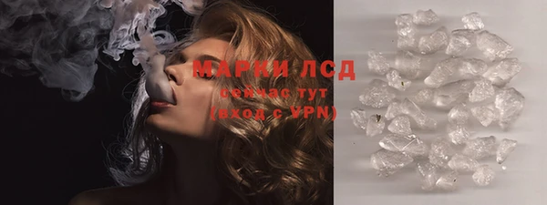 ПСИЛОЦИБИНОВЫЕ ГРИБЫ Вяземский