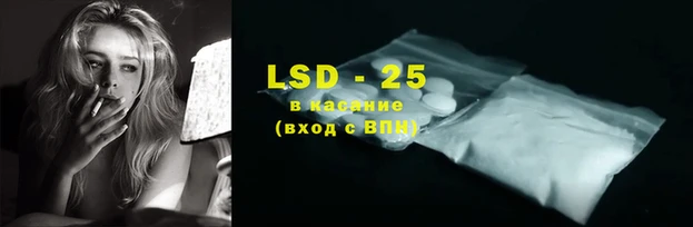 стафф Вязьма