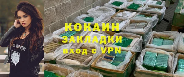 стафф Вязьма