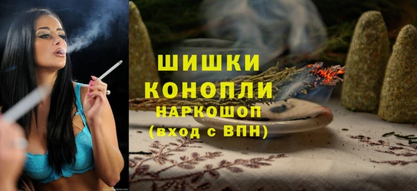 стафф Вязьма