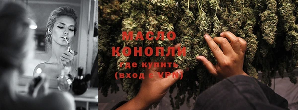 стафф Вязьма
