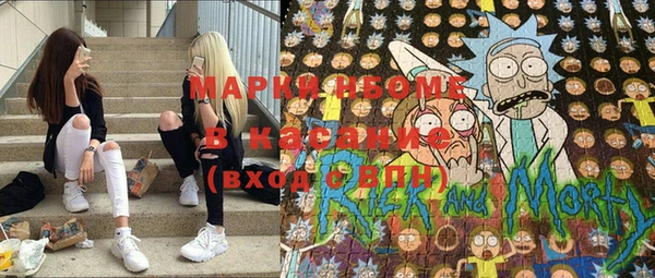 ПСИЛОЦИБИНОВЫЕ ГРИБЫ Вяземский