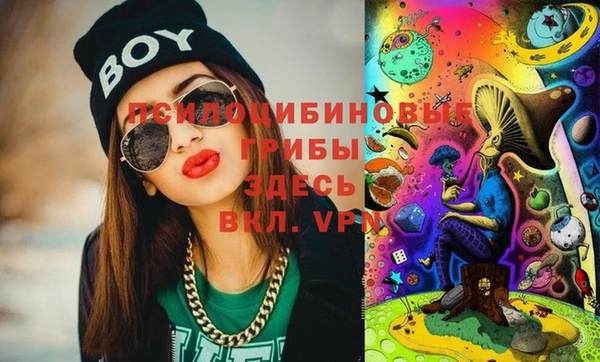 ПСИЛОЦИБИНОВЫЕ ГРИБЫ Вяземский